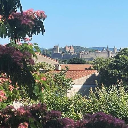 Villa Tamaris Carcassone Kültér fotó