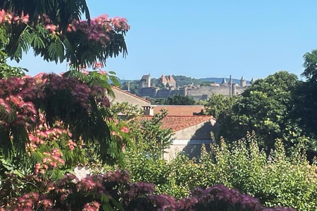 Villa Tamaris Carcassone Kültér fotó